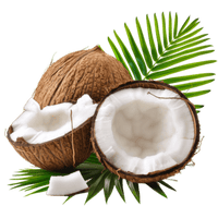 Coconut Oil