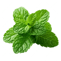 Peppermint Oil
